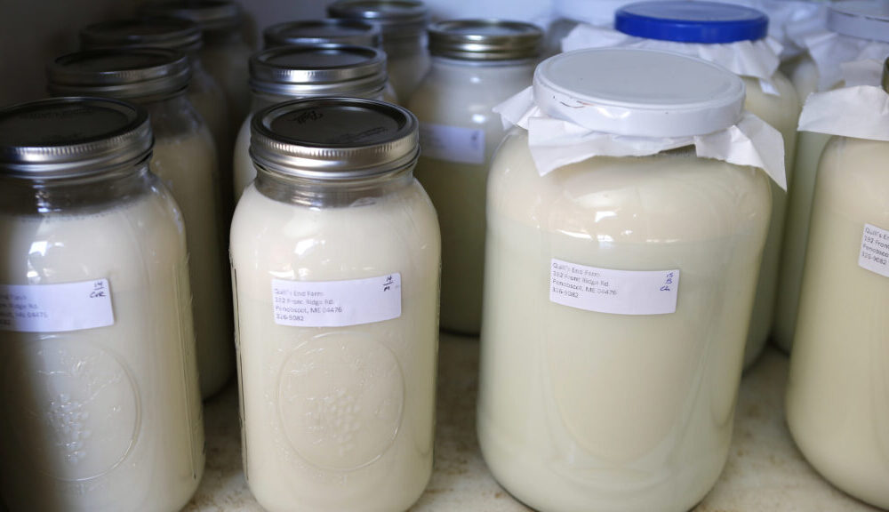 As H5N1 spreads among cows, experts warn against drinking raw milk