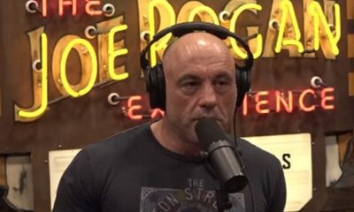 “B*tch, you think I'm on horse medicine?”  – Joe Rogan GOES OUT due to CNN's Ivermectin smear campaign (VIDEO) |  The Gateway expert