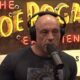 “B*tch, you think I'm on horse medicine?”  – Joe Rogan GOES OUT due to CNN's Ivermectin smear campaign (VIDEO) |  The Gateway expert