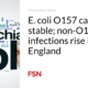 E. coli O157 cases stable;  non-O157 infections are increasing in England