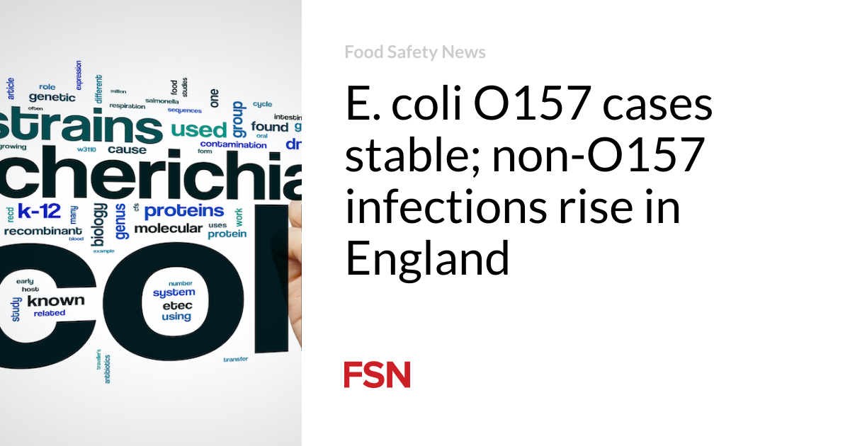 E. coli O157 cases stable;  non-O157 infections are increasing in England