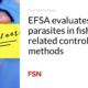 EFSA evaluates parasites in fish and related control methods