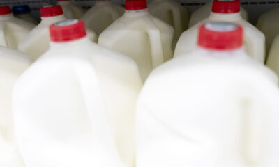 H5N1 bird flu particles found in pasteurized milk;  FDA supports safety
