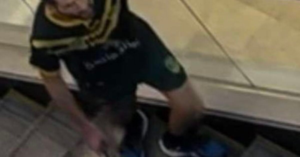 Mass stabbing at Sydney, Australia Mall;  Knifeman shot dead by policewoman |  The Gateway expert