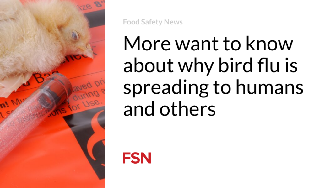 More people want to know why bird flu spreads to people and others