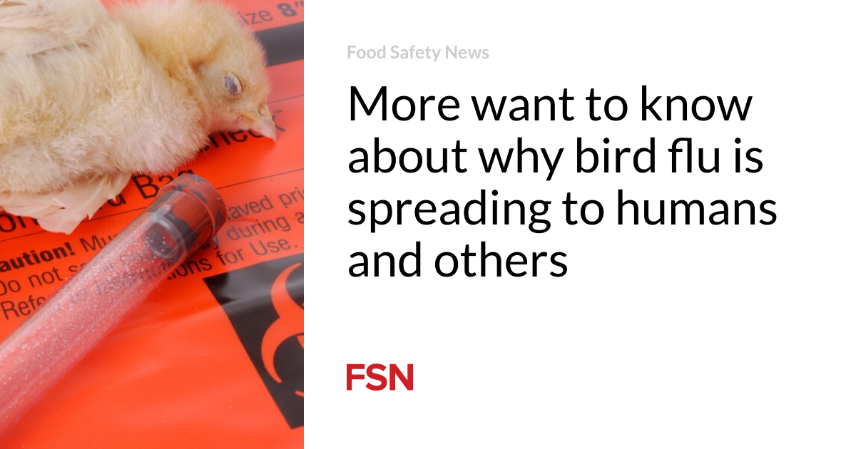 More people want to know why bird flu spreads to people and others