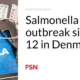 Outbreak of Salmonella disease 12 in Denmark