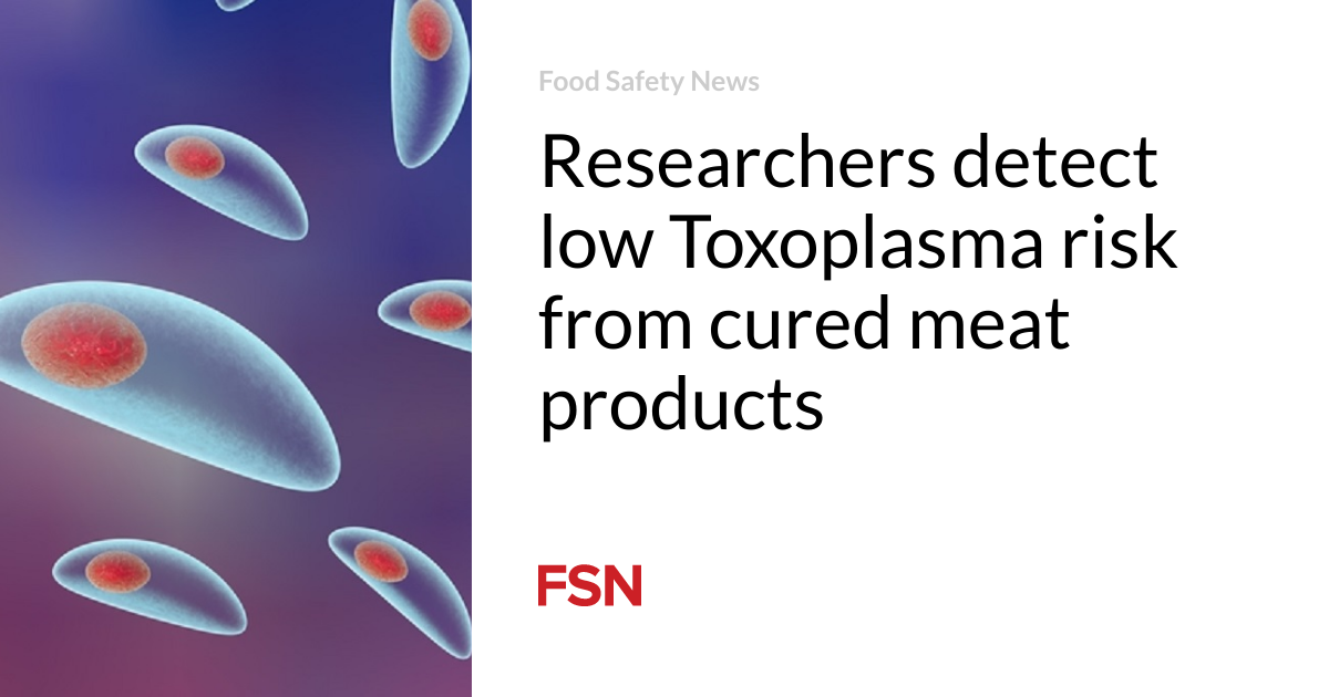Researchers discover low Toxoplasma risk in cured meat products