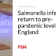 Salmonella infections are returning to pre-pandemic levels in England