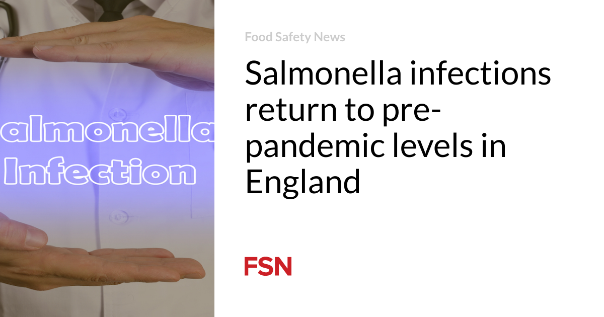 Salmonella infections are returning to pre-pandemic levels in England