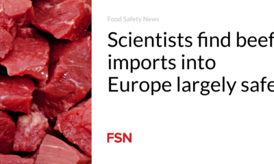 Scientists consider beef imports into Europe largely safe