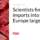 Scientists consider beef imports into Europe largely safe