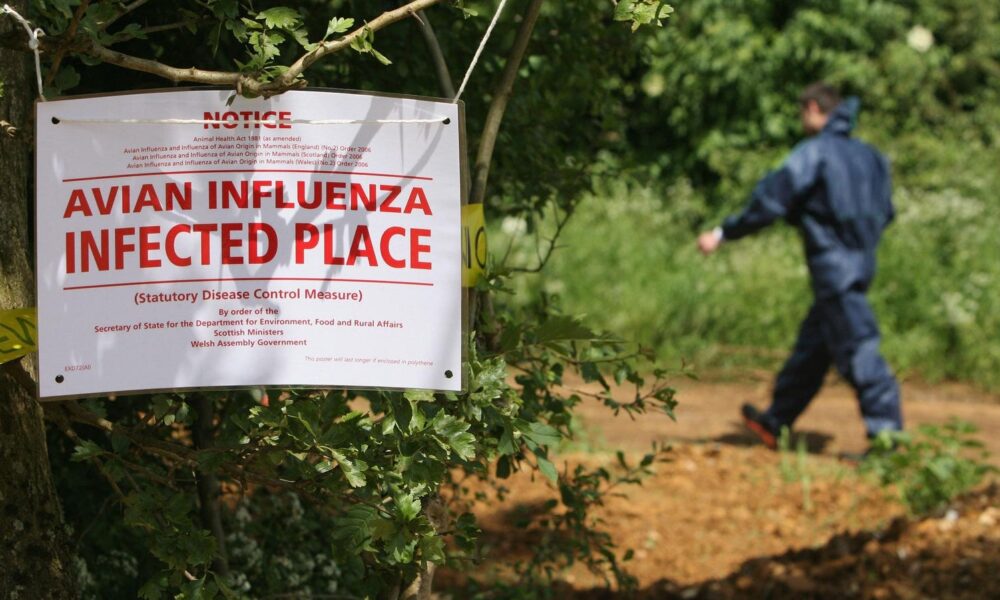 The spread of bird flu from person to person is of 'major concern', the WHO says