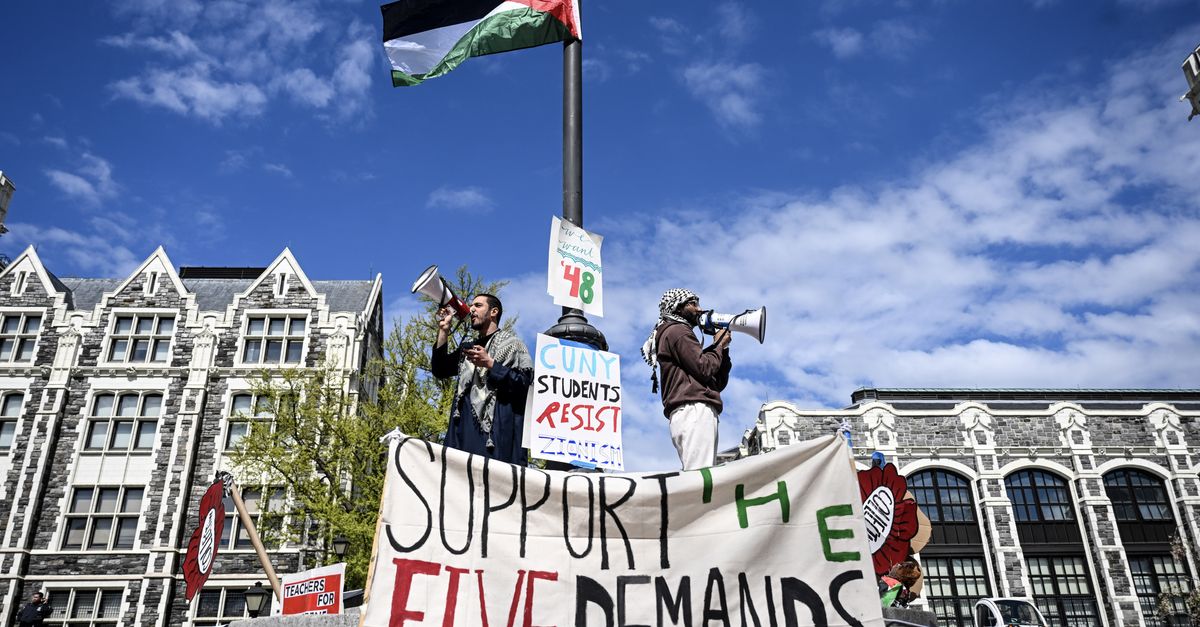 This is what the pro-Palestinian student protesters want