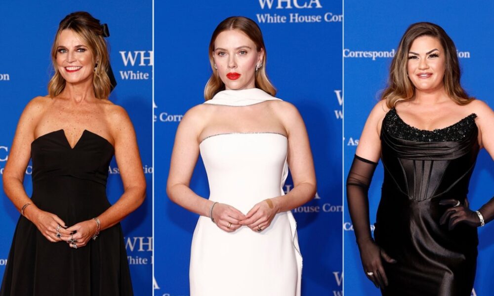 WHCD 2024 Red Carpet: See what the stars wore