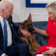 President Joe Biden and first lady Jill Biden look at their new dog, Commander, after a Christmas event at the White House on December 25, 2021.