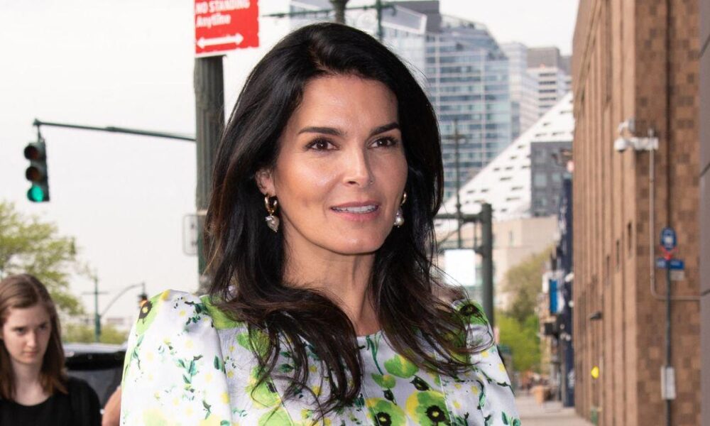 Angie Harmon sues delivery driver who shot and killed her dog: 'Unfathomable'