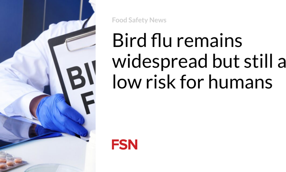 Bird flu remains widespread but still poses a low risk to humans
