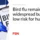 Bird flu remains widespread but still poses a low risk to humans