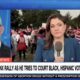 CNN reporter admits the truth about Trump's Bronx rally, and it's not what Democrats want to see |  The Gateway expert