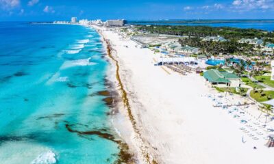 Cancun To Receive Thousands Of Tons Of Sargassum In The Next Weeks, Warn Authorities