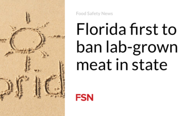 Florida is the first to ban lab-grown meat in the state