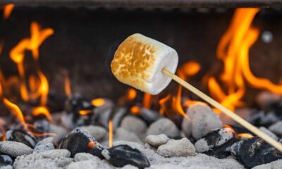 After losing twice in the protracted ‘mega marshmallows’ tax case, HM Revenue and Customs (HMRC) has announced its intention to file yet another appeal.