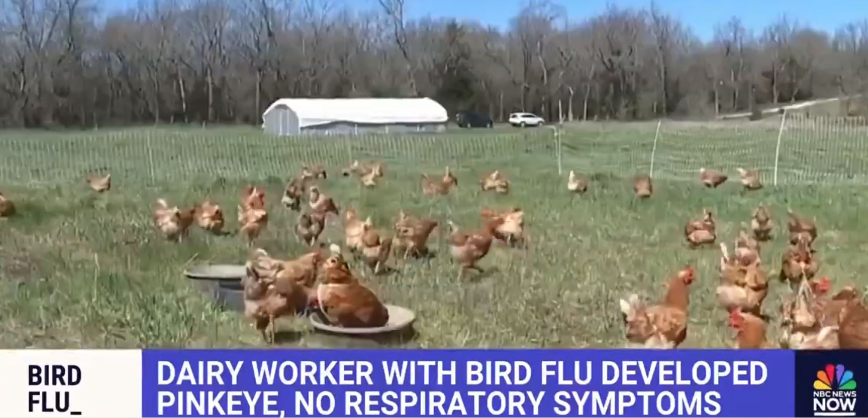 Here we go... Farm worker contracts bird flu in first reported case of transmission from farm animals to humans |  The Gateway expert