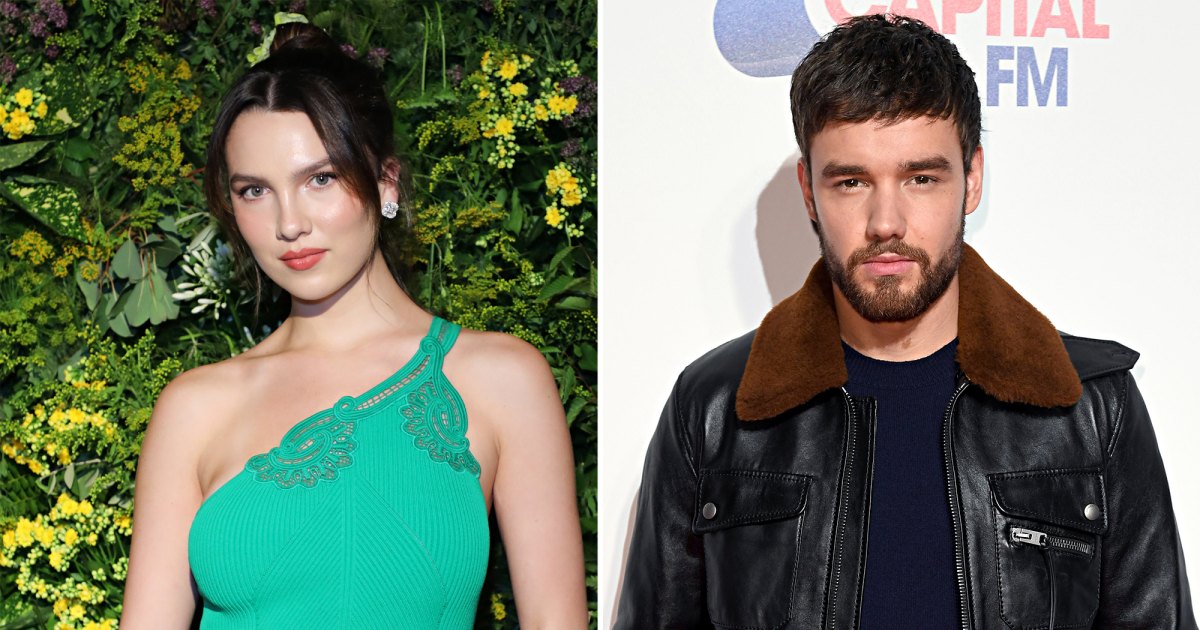 Liam Payne's ex Maya Henry has apparently written a book about their romance