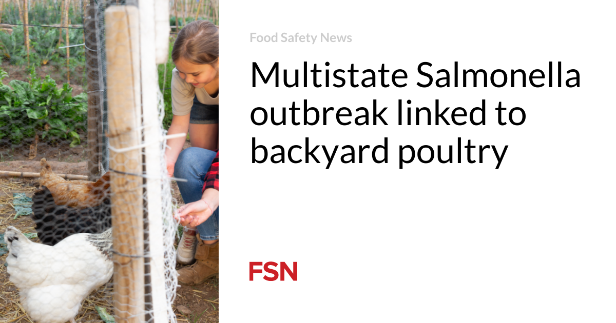 Multi-state Salmonella outbreak linked to backyard poultry