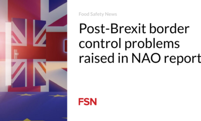 Post-Brexit border control issues raised in the NAO report