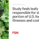 Research shows that leafy greens are responsible for a significant portion of foodborne illness and costs in the US