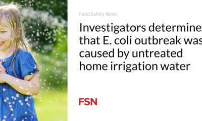 Researchers determine that the E. coli outbreak was caused by untreated irrigation water