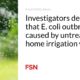 Researchers determine that the E. coli outbreak was caused by untreated irrigation water