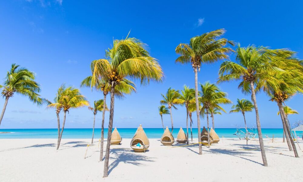 TOP 4 Resorts In Punta Cana To Visit In Summer 2024