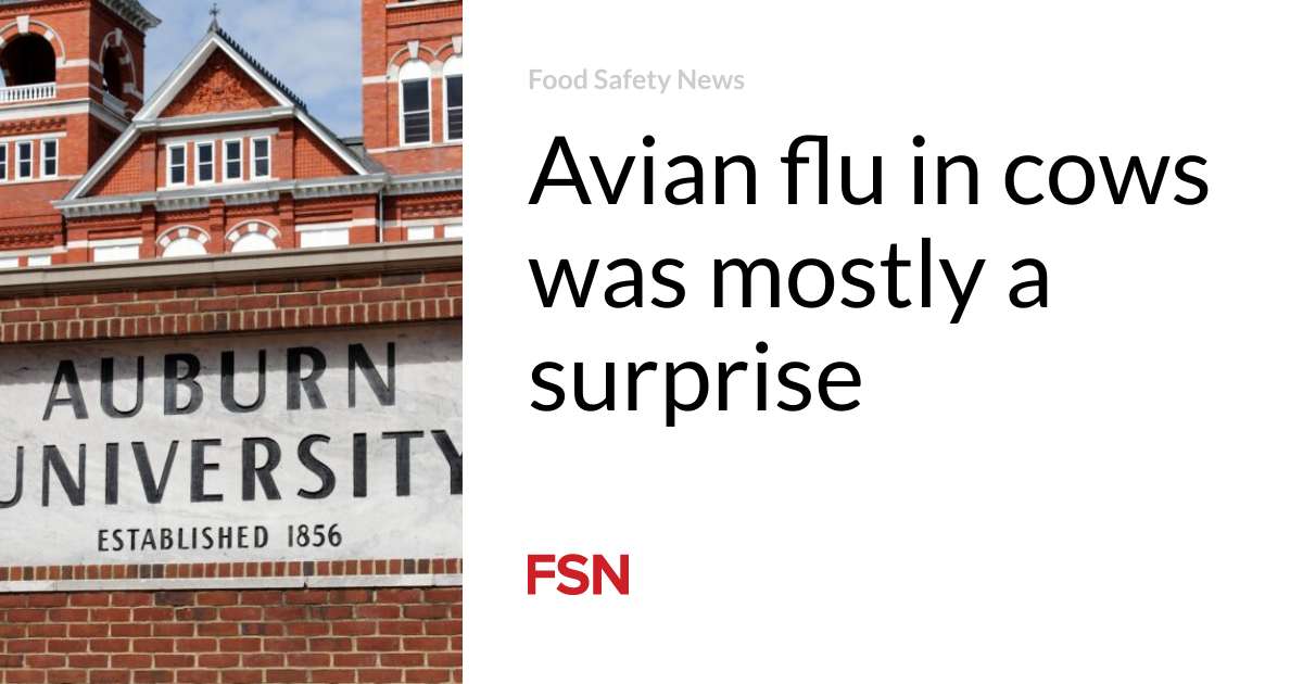 The bird flu in cows was mainly a surprise