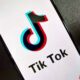 TikTok and DOJ are seeking an expedited court ruling on the US ban