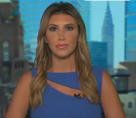Alina Habba talks Trump criminal case on Sunday Morning Futures.