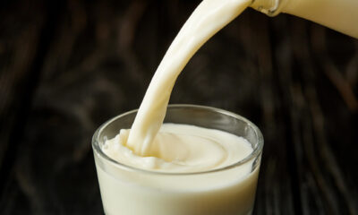 Why you shouldn't drink raw milk