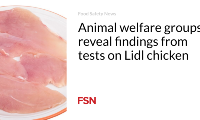 Animal welfare organizations reveal findings from tests with Lidl chicken