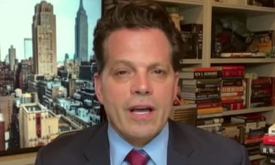 Anthony Scaramucci scorches CEOs with one blistering description at Trump rally