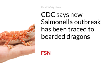 CDC says the new Salmonella outbreak has been traced to bearded dragons