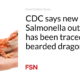 CDC says the new Salmonella outbreak has been traced to bearded dragons