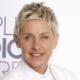 Ellen DeGeneres 'Hates' Humble Pie During Comeback Comedy Tour