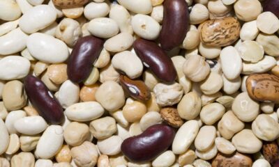 Higher intake of beans linked to a more nutritious diet