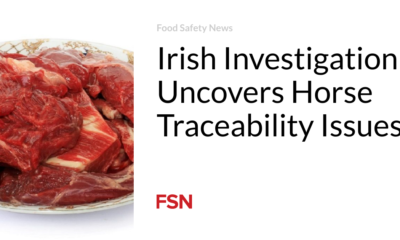 Irish research reveals problems with horse traceability