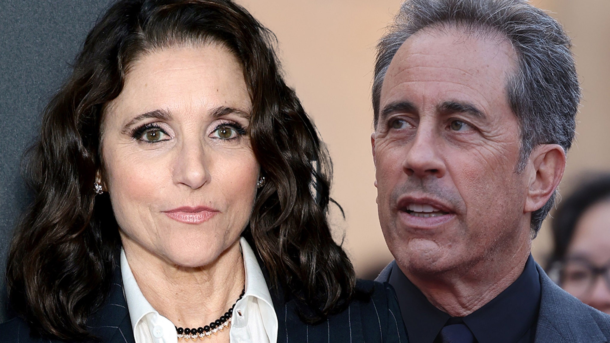 Julia Louis-Dreyfus calls Jerry Seinfeld's PC attitude a 'red flag'