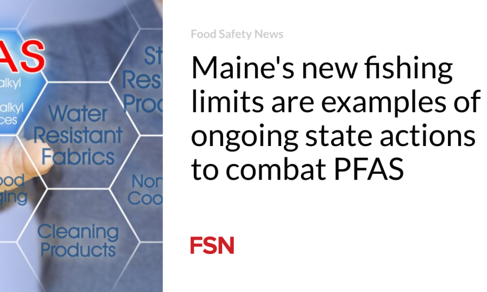 Maine's new fishing limits are examples of continued state actions to combat PFAS