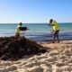 Dominican Republic Beaches Covered With Sargassum Ahead Of Summer Season