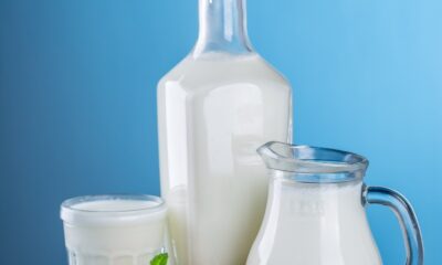 Research shows that the infectious H5N1 flu virus in raw milk decreases rapidly as a result of heat treatment